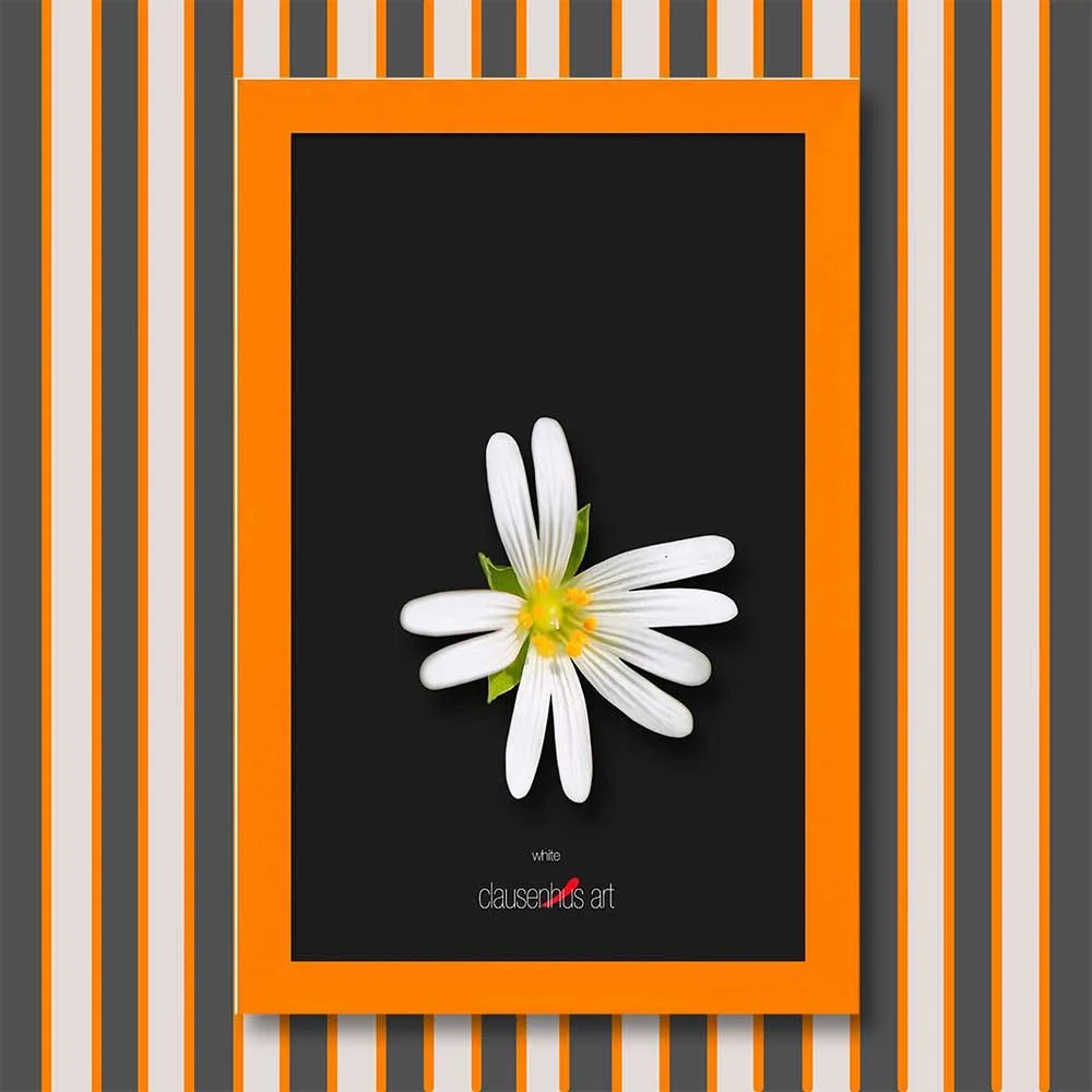 white-copy.jpg