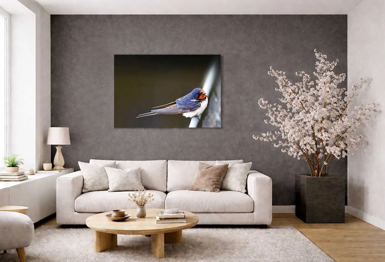 Dagligstue-fugle-galleritryk-29.jpg