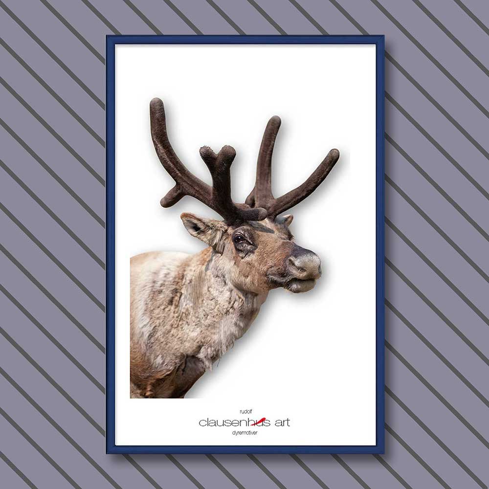 rudolf-copy.jpg