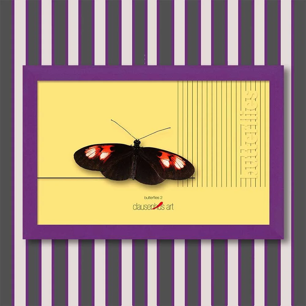 butterflies-2-copy.jpg