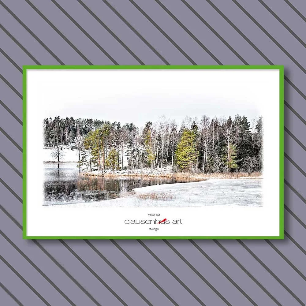 vinter-sø-copy.jpg