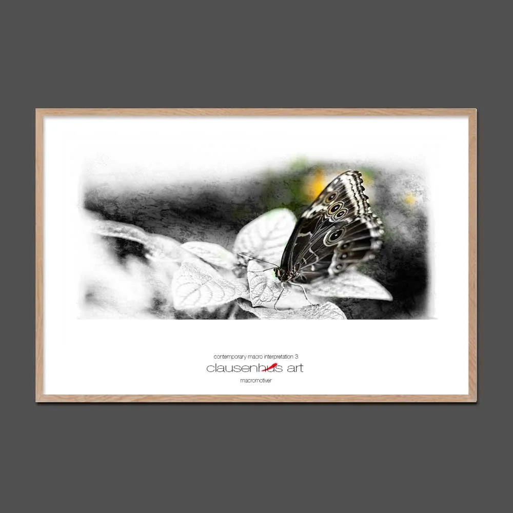 contemporary-macro-interpretation-3-copy.jpg