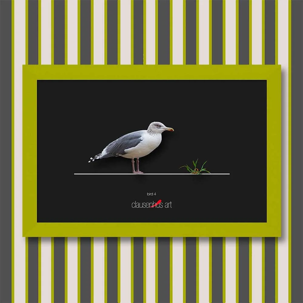 bird-4-copy.jpg