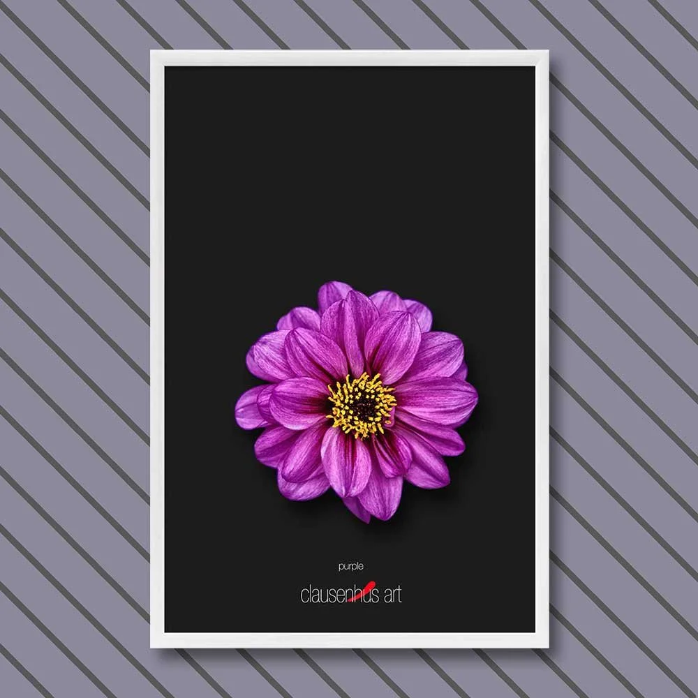 purple-copy.jpg