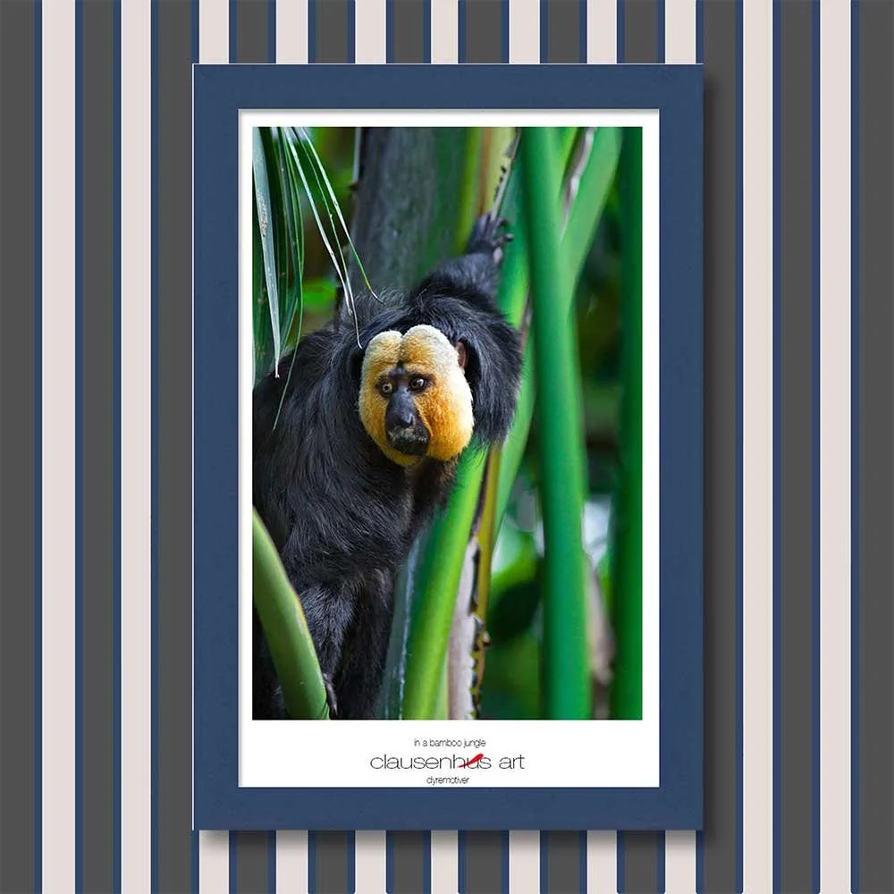 in-a-bamboo-jungle-copy.jpg