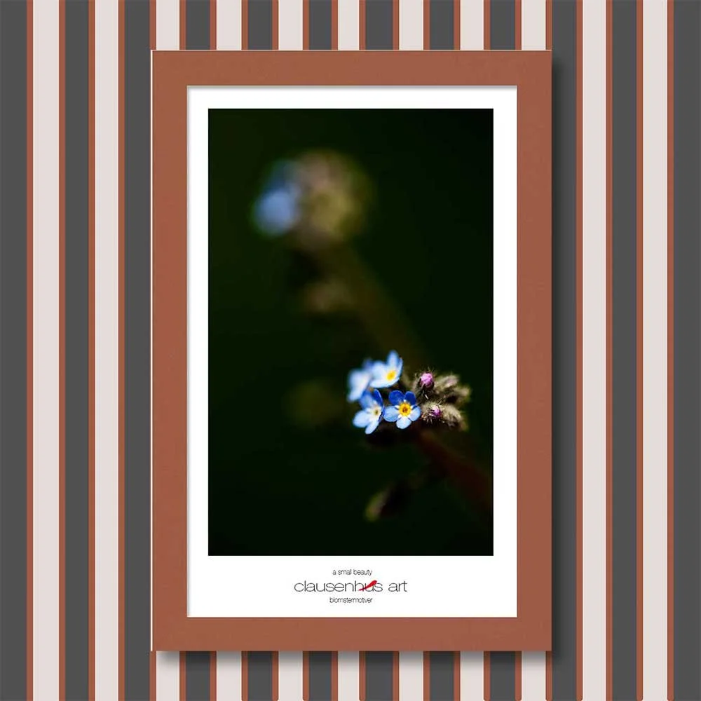 a-small-beauty-copy.jpg