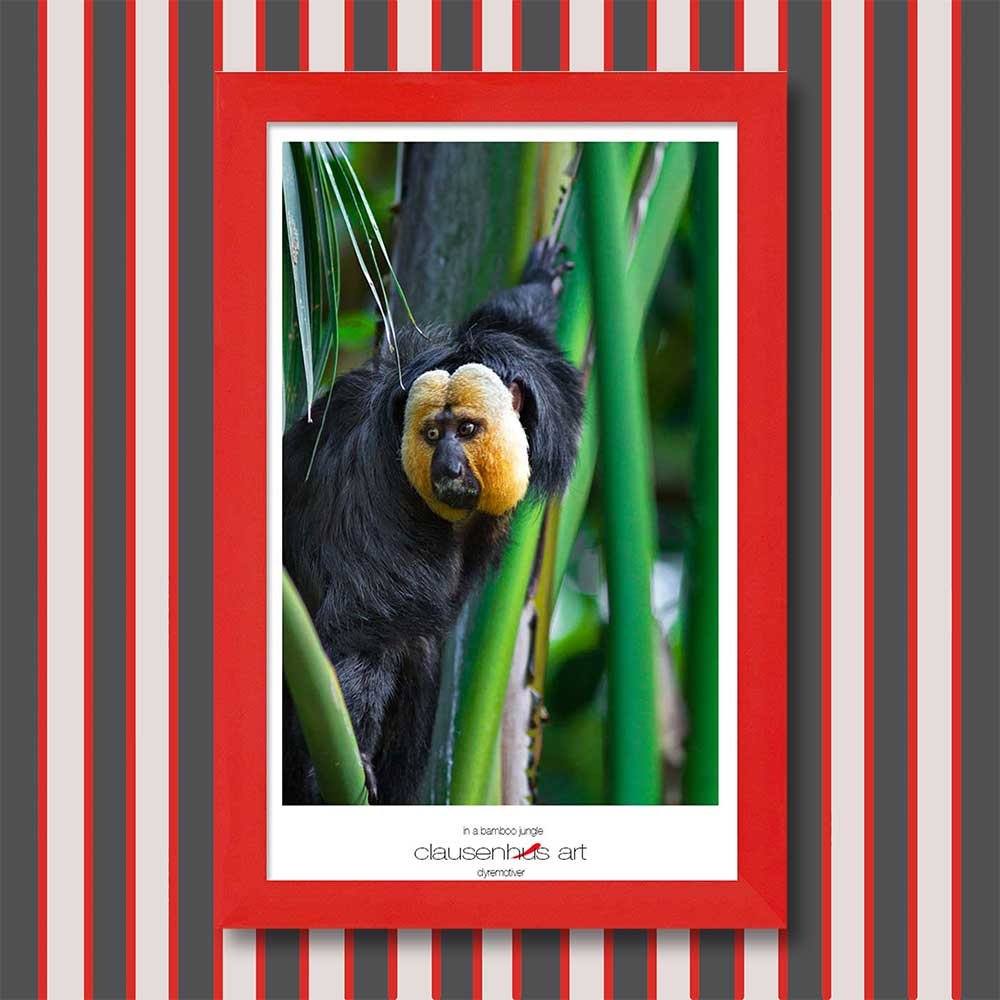 in-a-bamboo-jungle-copy.jpg