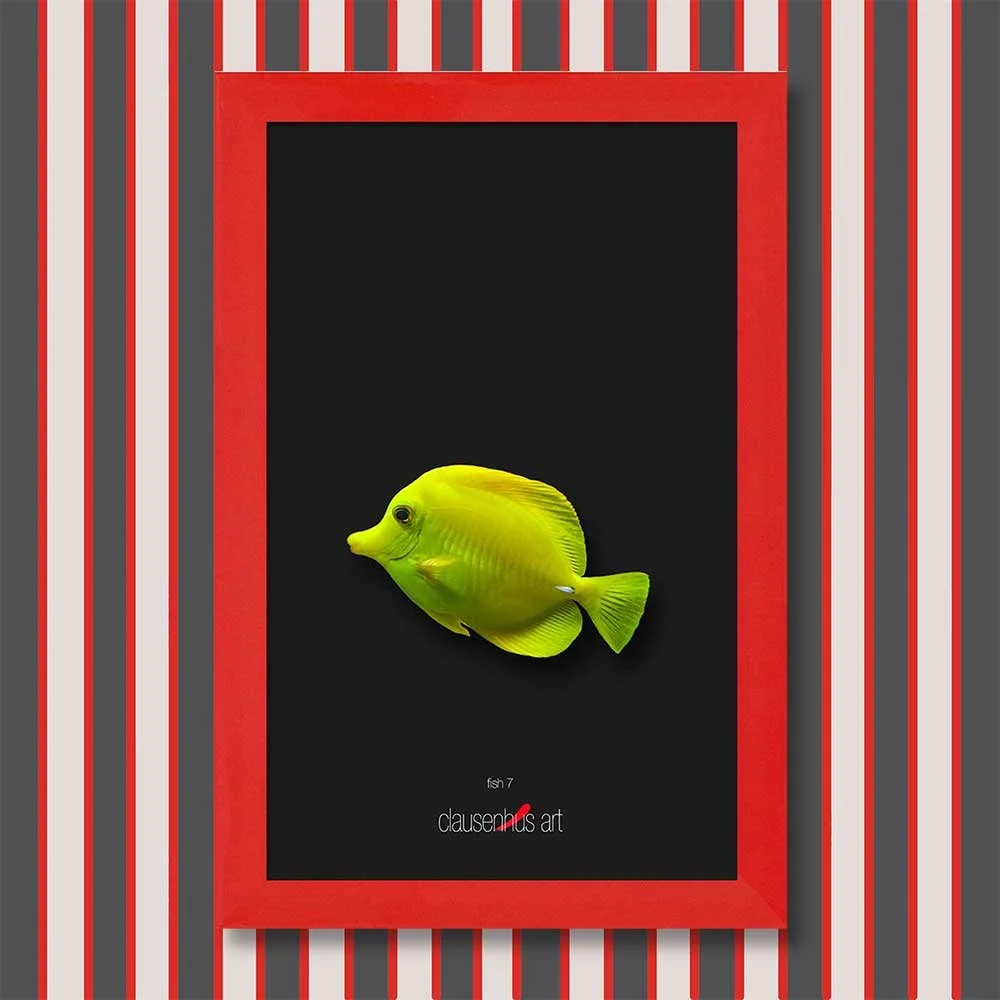 fish-7-copy.jpg