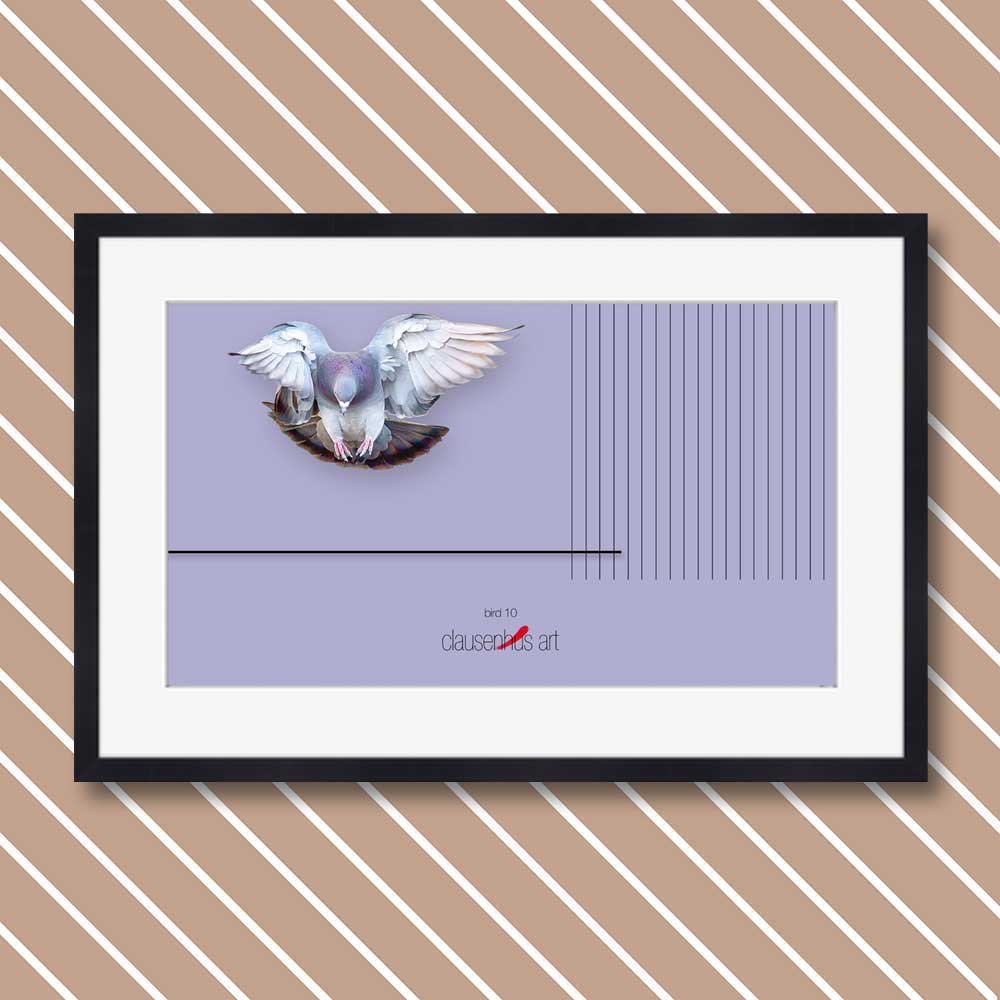 bird-10.jpg