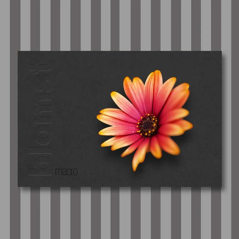 blomst-9.jpg