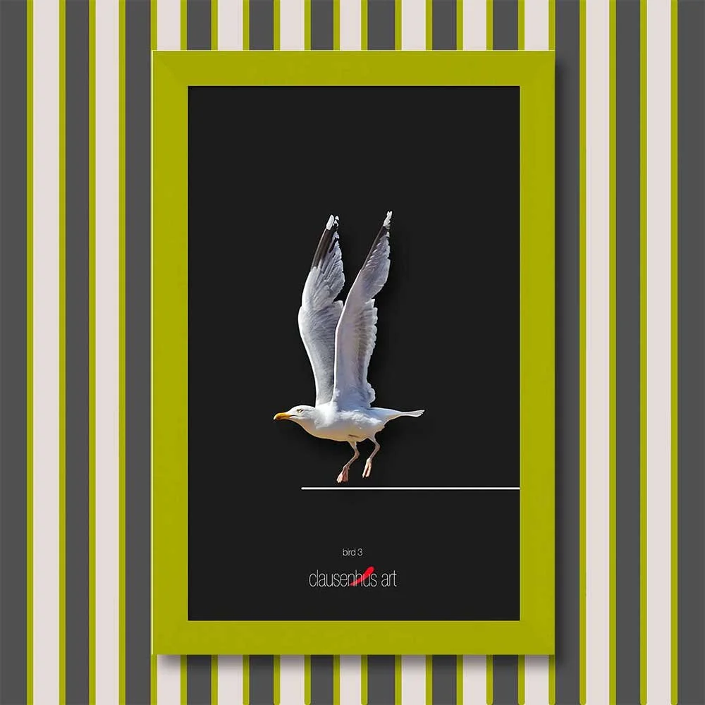 bird-3-copy.jpg