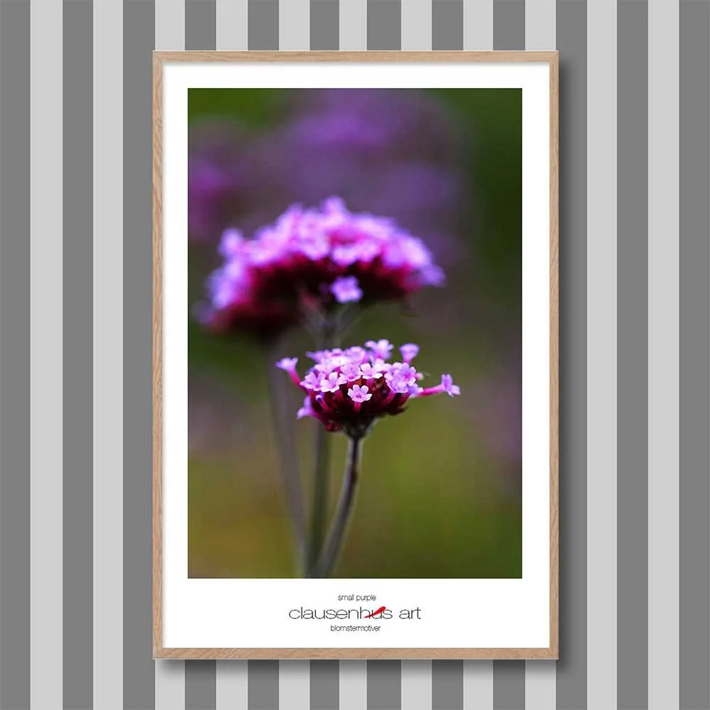 small-purple-copy.jpg