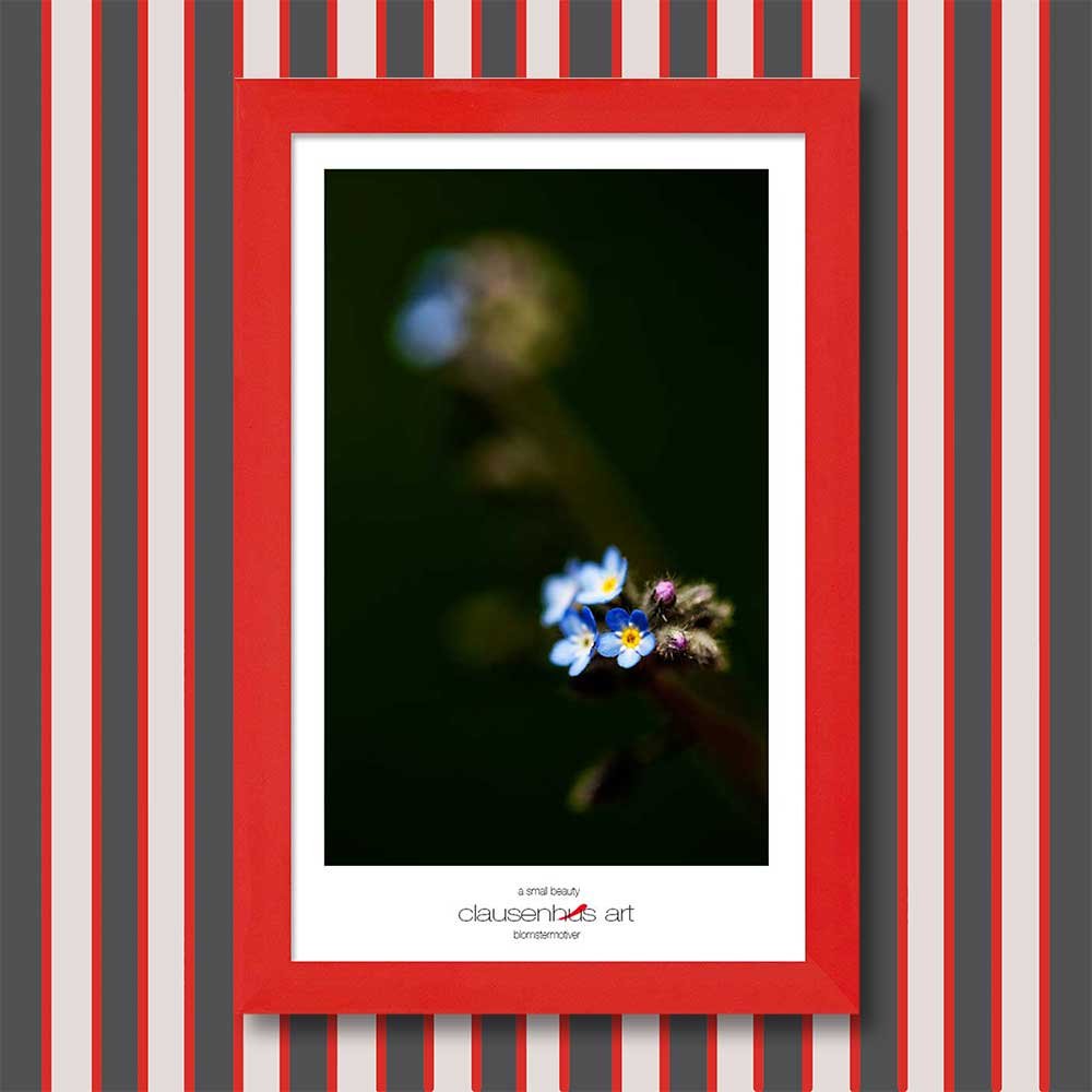 a-small-beauty-copy.jpg