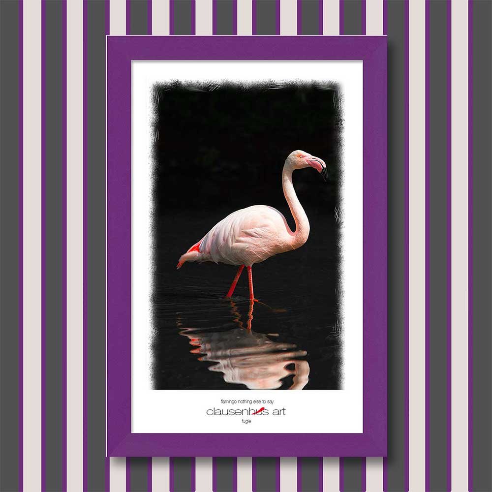 flamingo-nothing-else-to-say.jpg