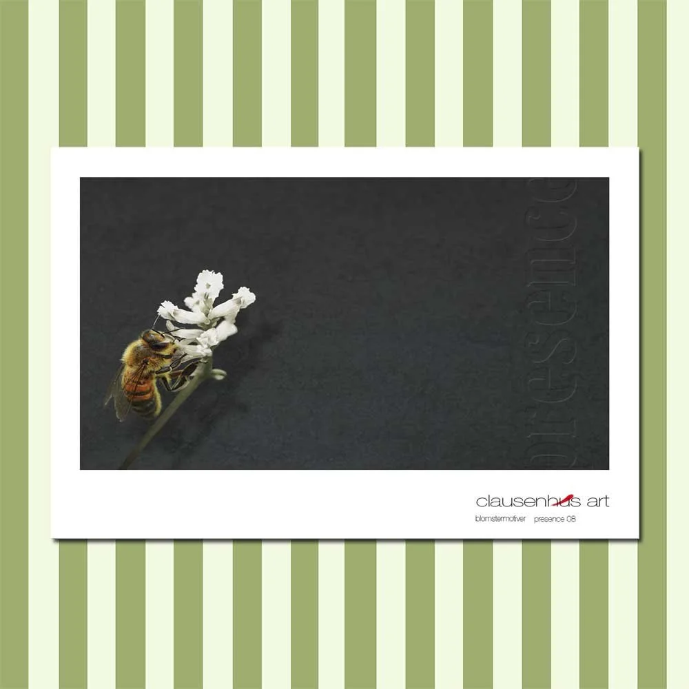 presence-08.jpg