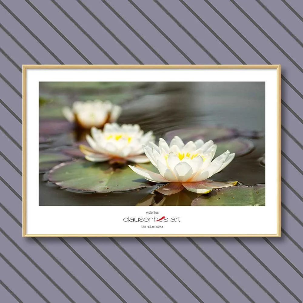 waterlilies-copy.jpg