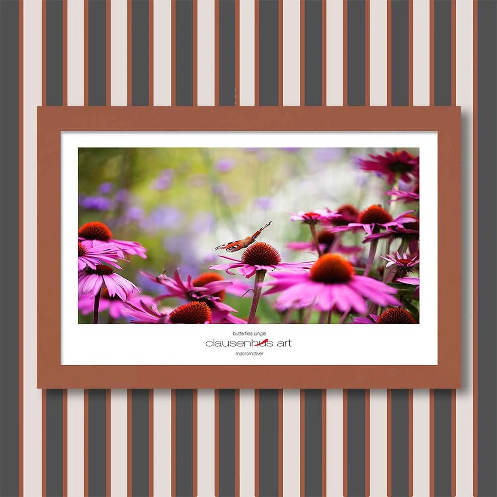 butterflies-jungle-copy.jpg