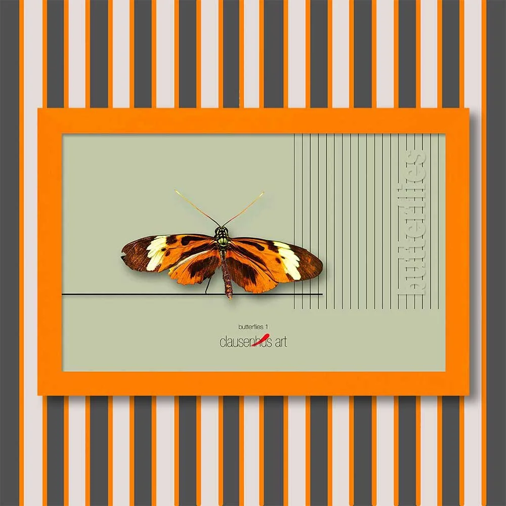 butterflies-1-copy.jpg