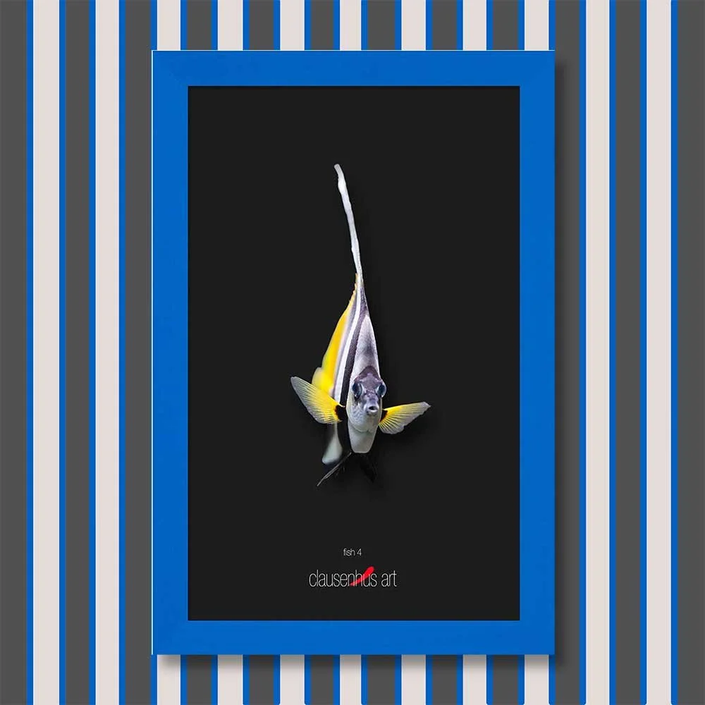 fish-4-copy.jpg