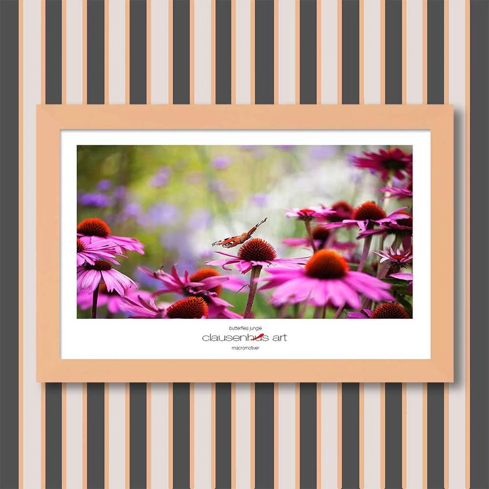 butterflies-jungle-copy.jpg
