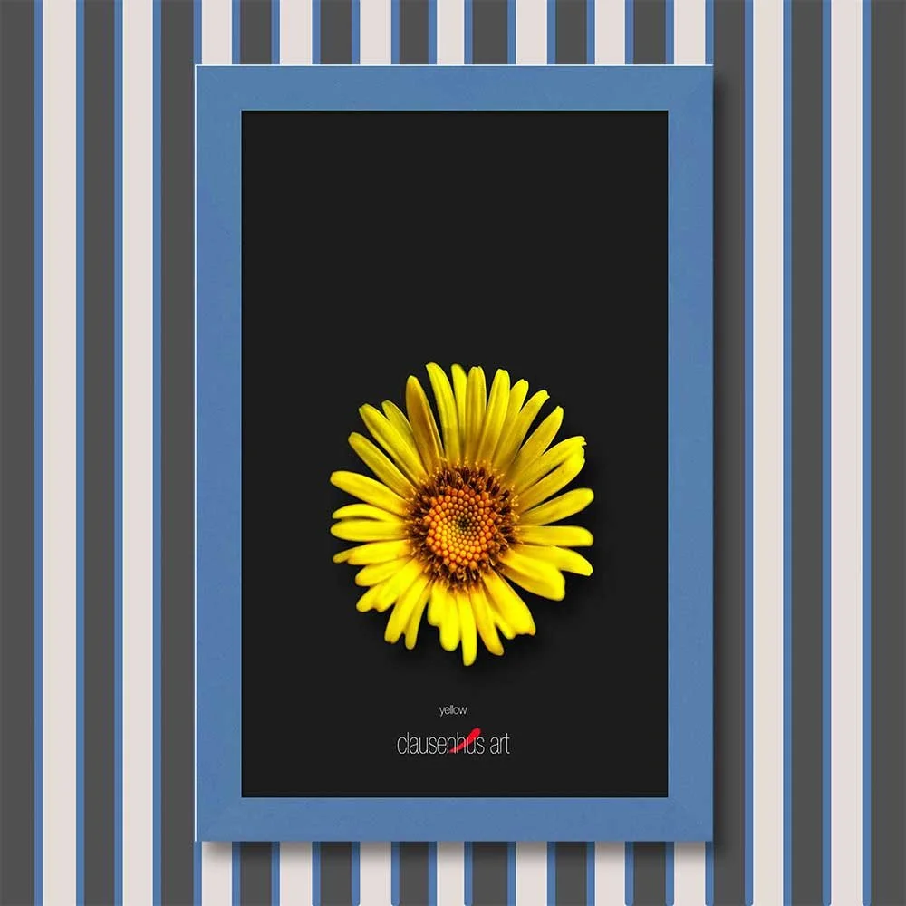 yellow-copy.jpg