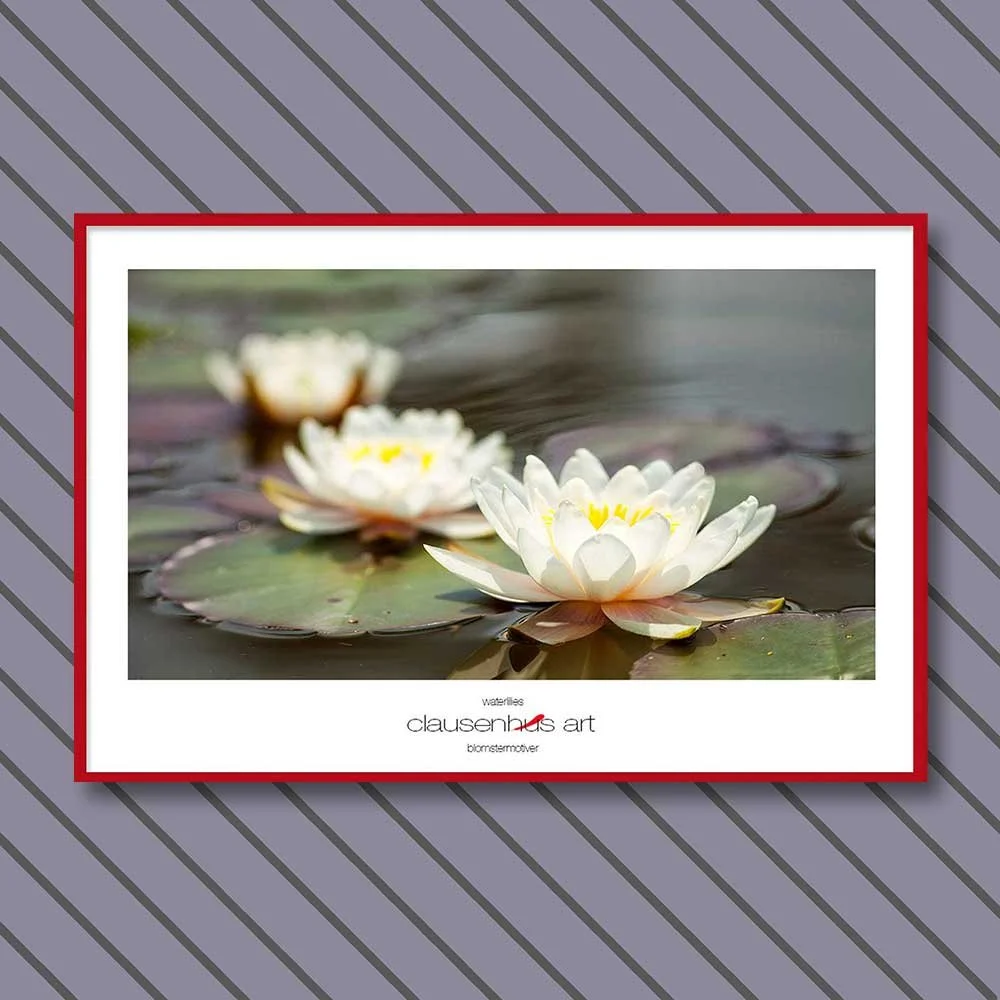 waterlilies-copy.jpg