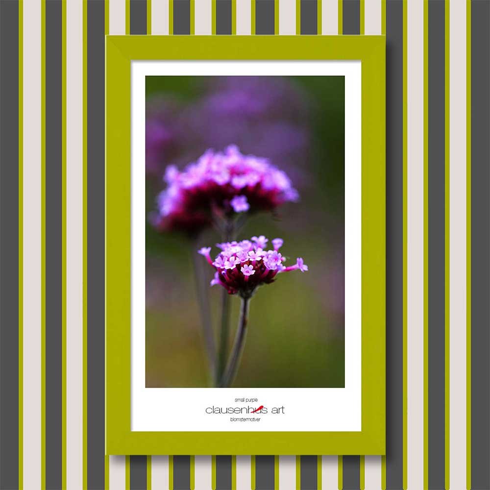small-purple-copy.jpg