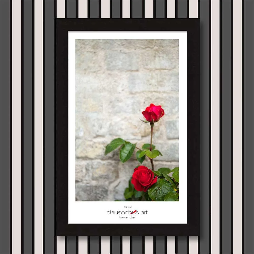 the-wall-copy.jpg