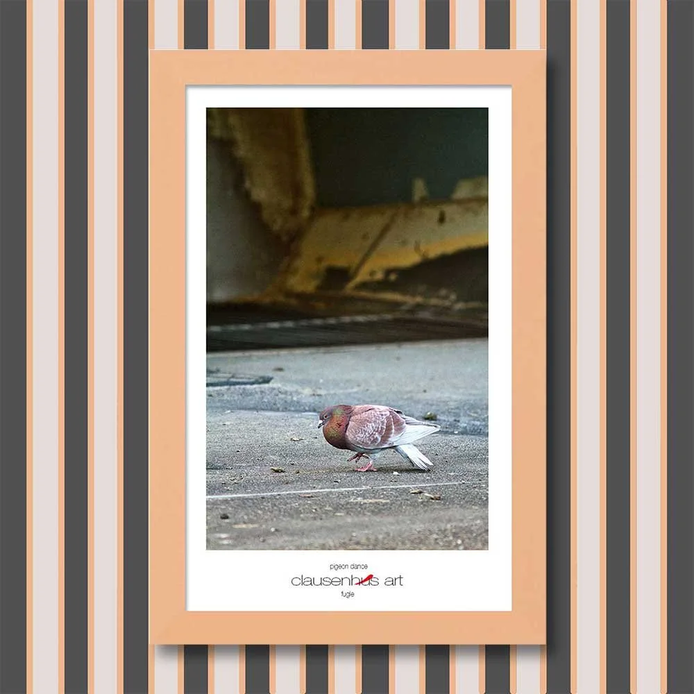 pigeon-dance-copy.jpg