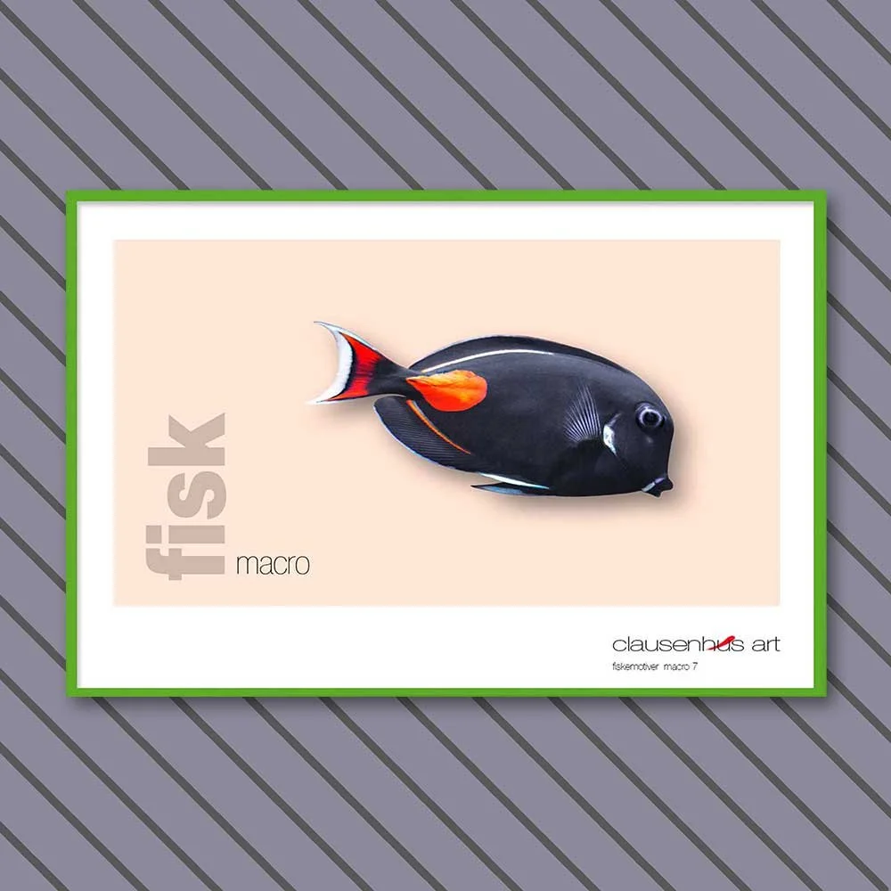 fiskemotiv-7-copy.jpg