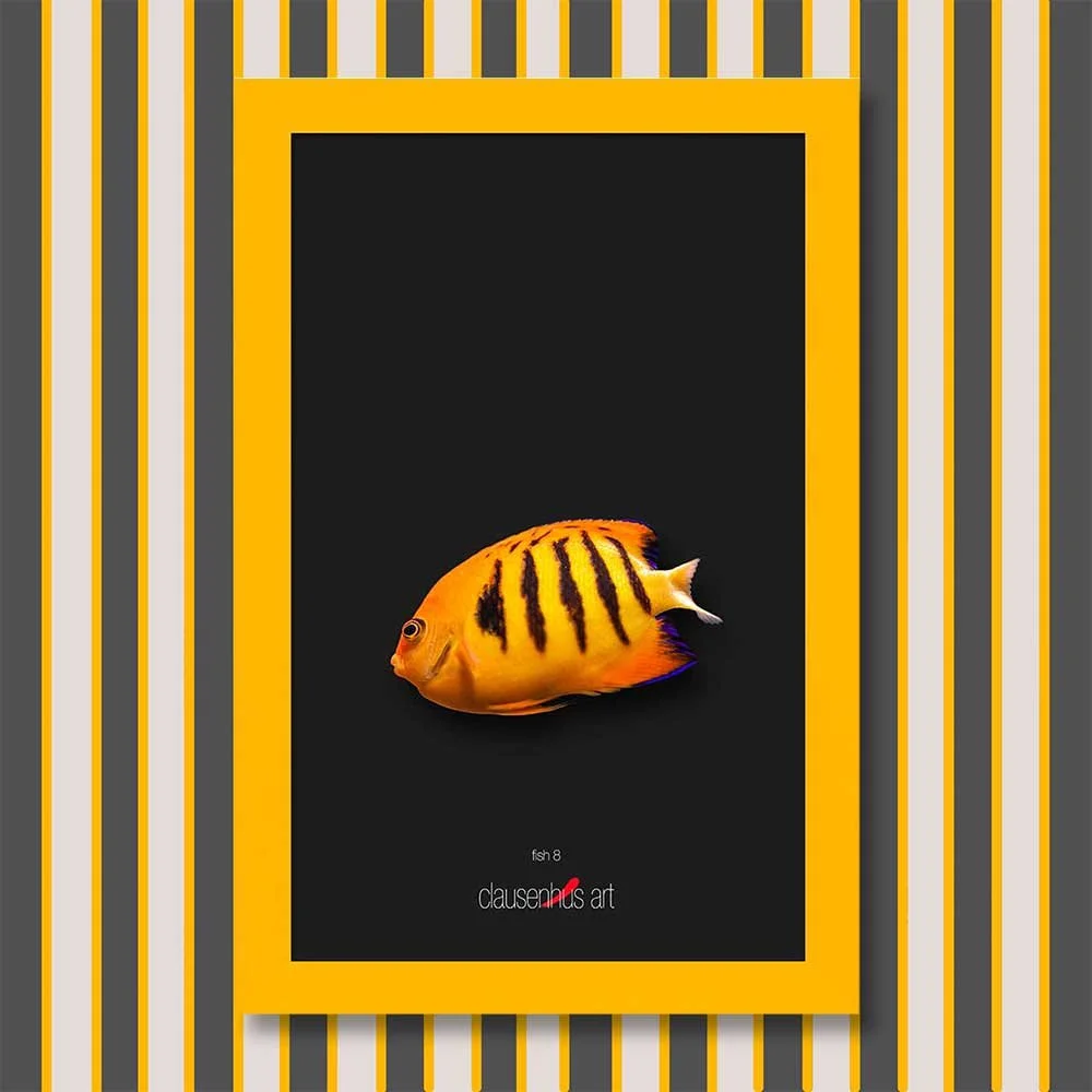 fish-8-copy.jpg