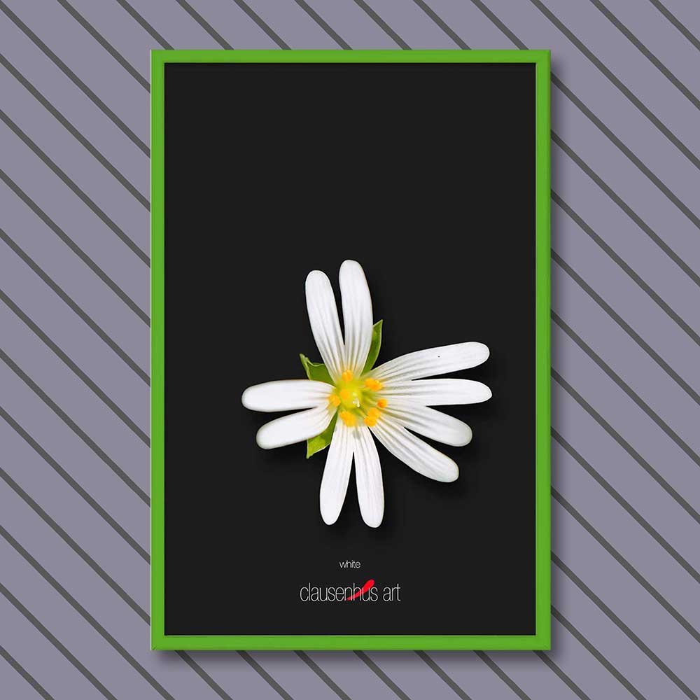 white-copy.jpg