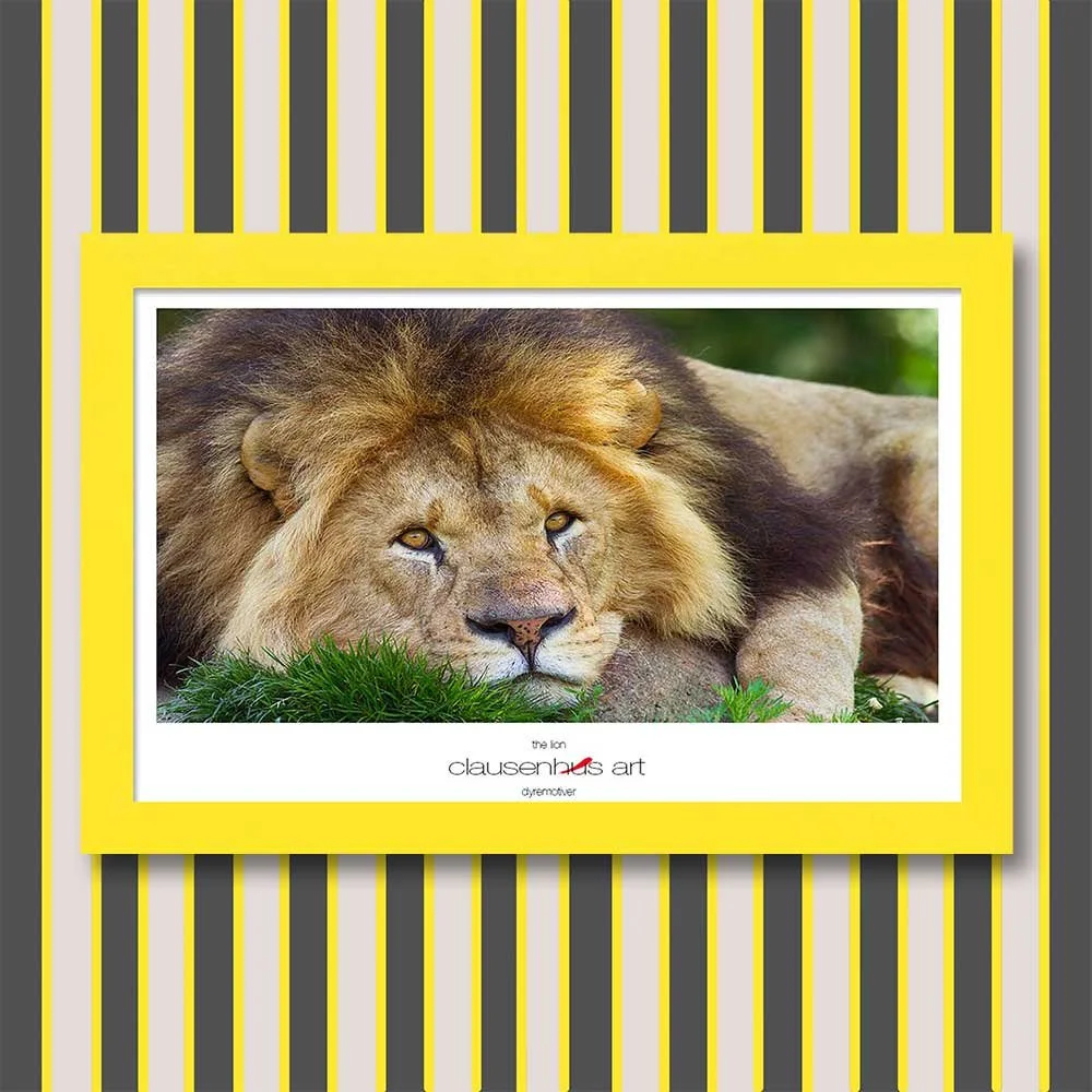 the-lion.jpg