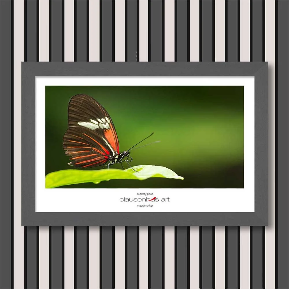 butterfly-pose-copy.jpg