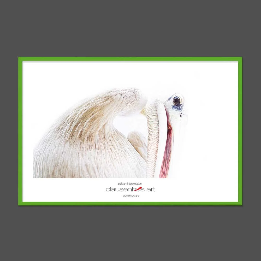 pelican-interpretation.jpg