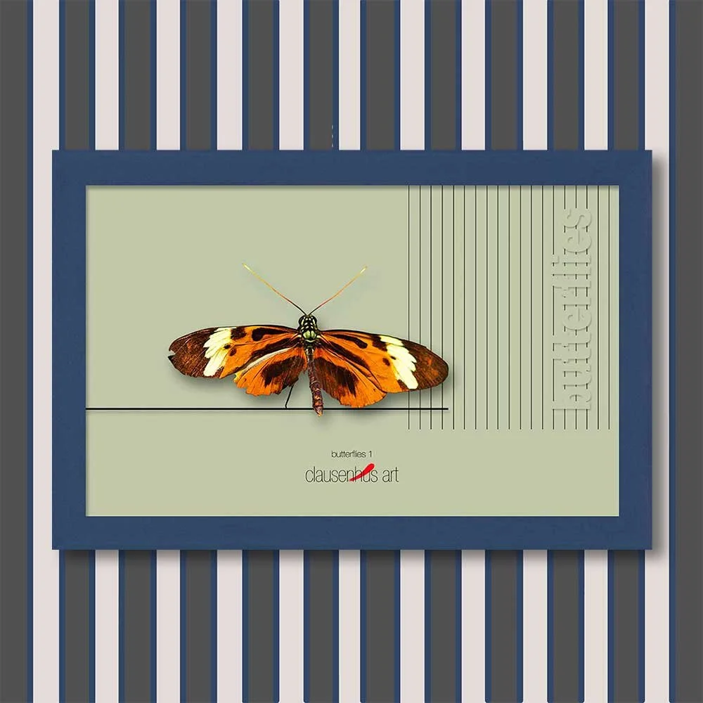 butterflies-1-copy.jpg