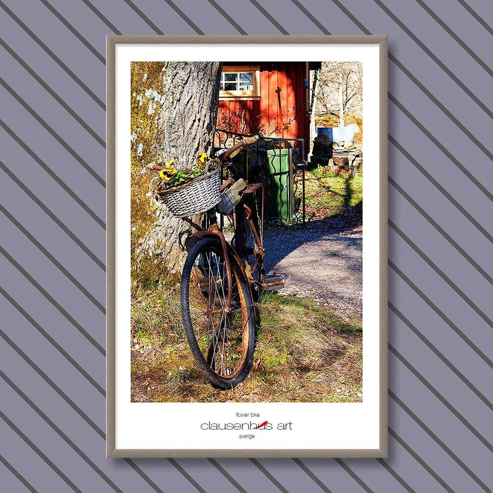 flower-bike-copy.jpg