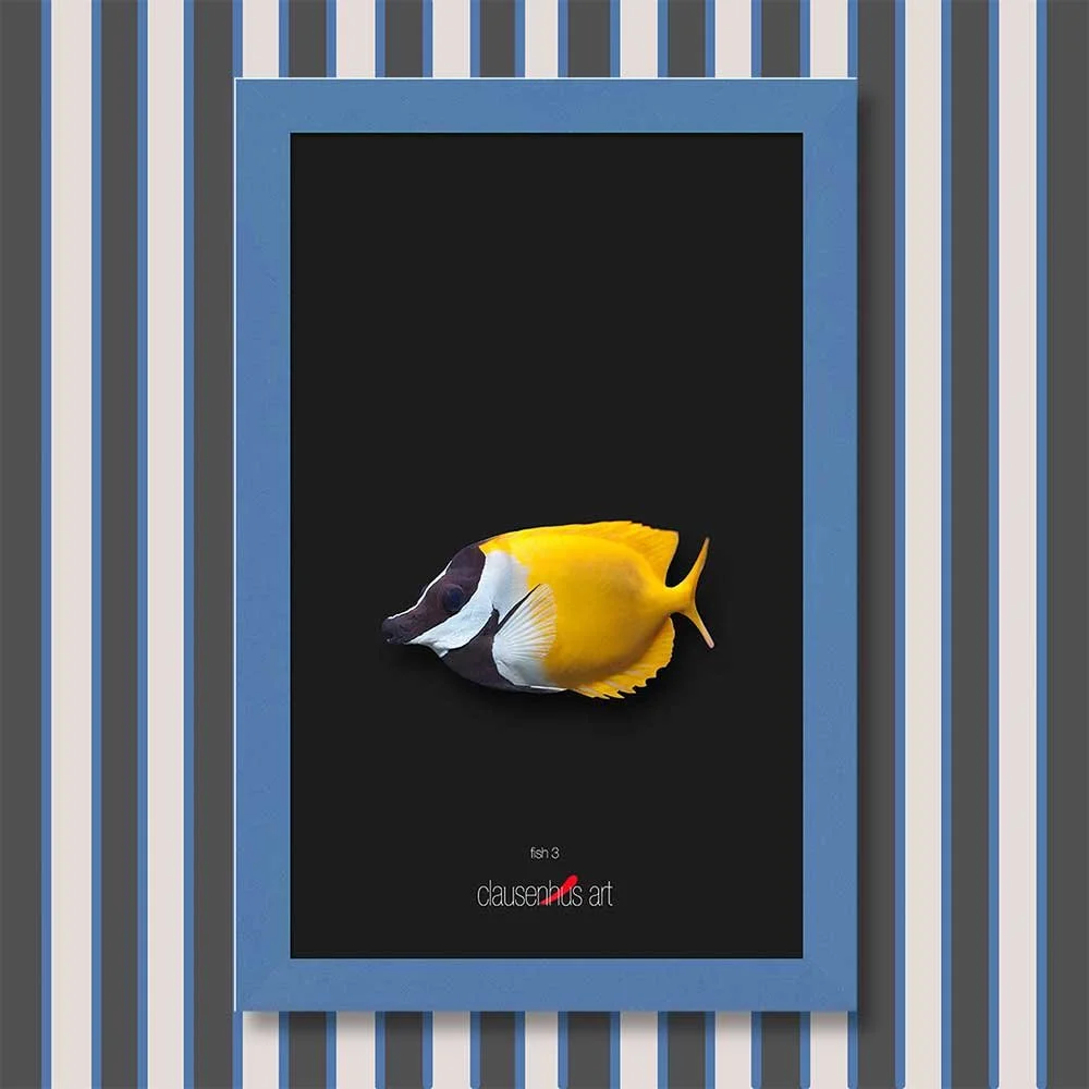 fish-3-copy.jpg
