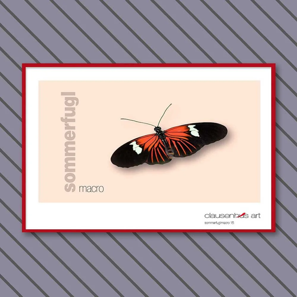 sommerfugl-15-copy.jpg
