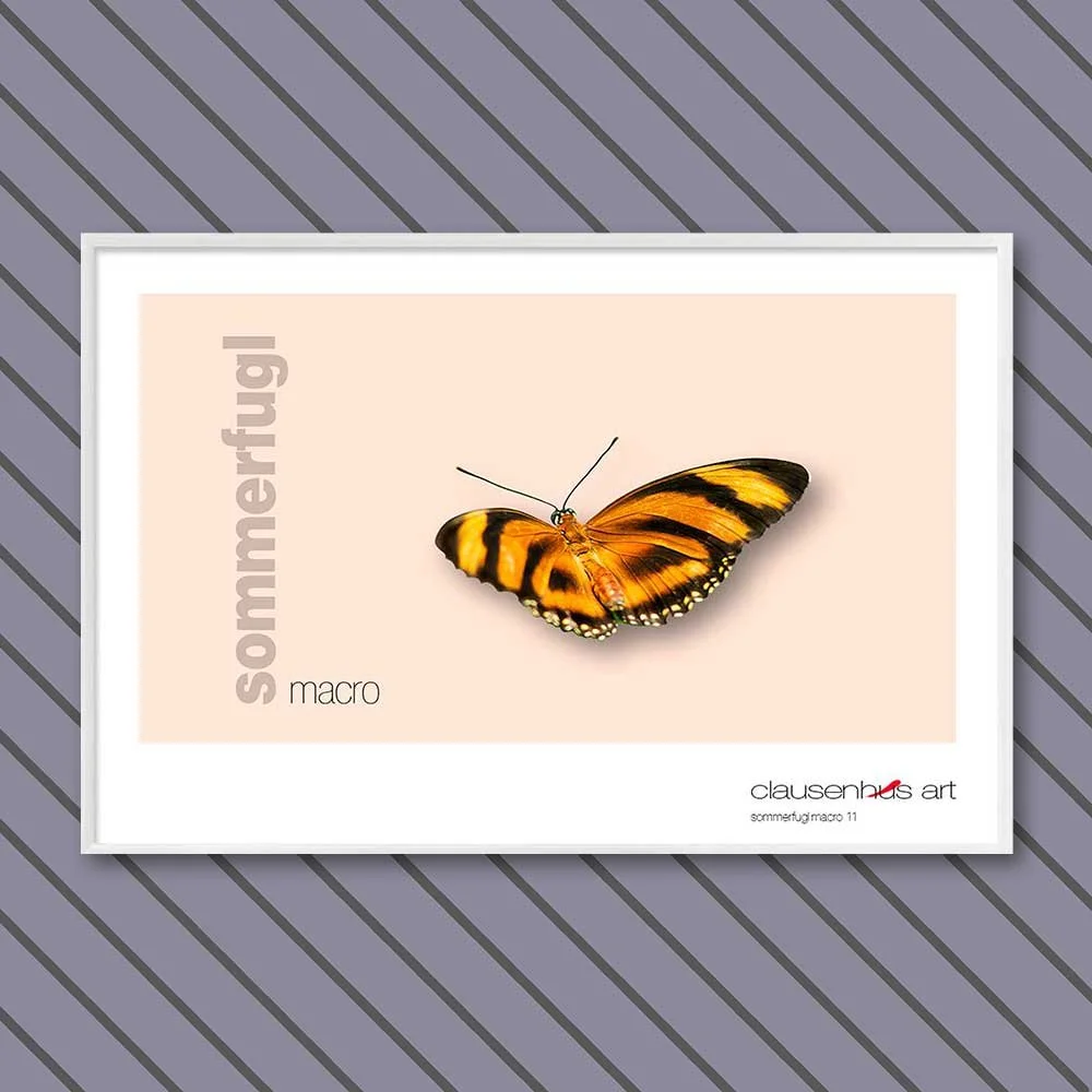 sommerfugl-11-copy.jpg