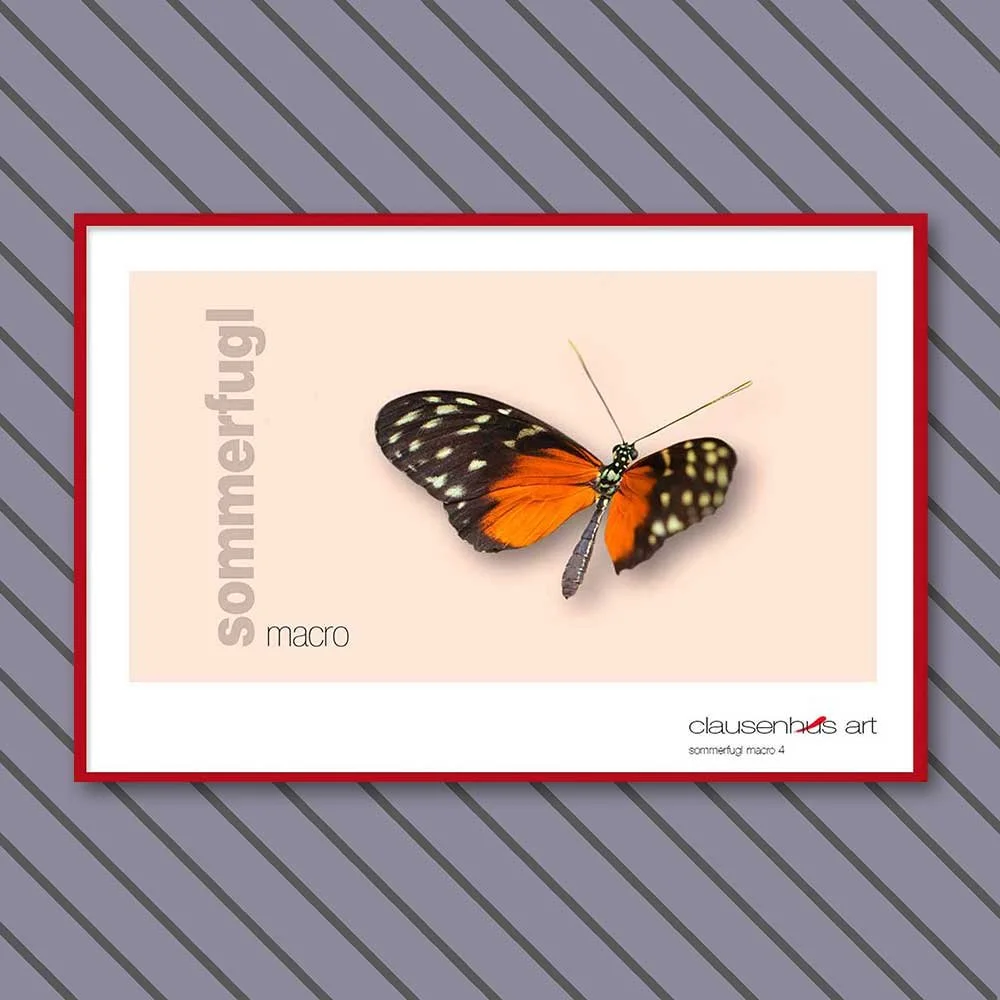 sommerfugl-4-copy.jpg