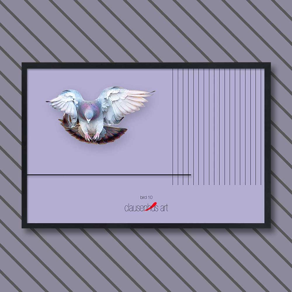 bird-10.jpg