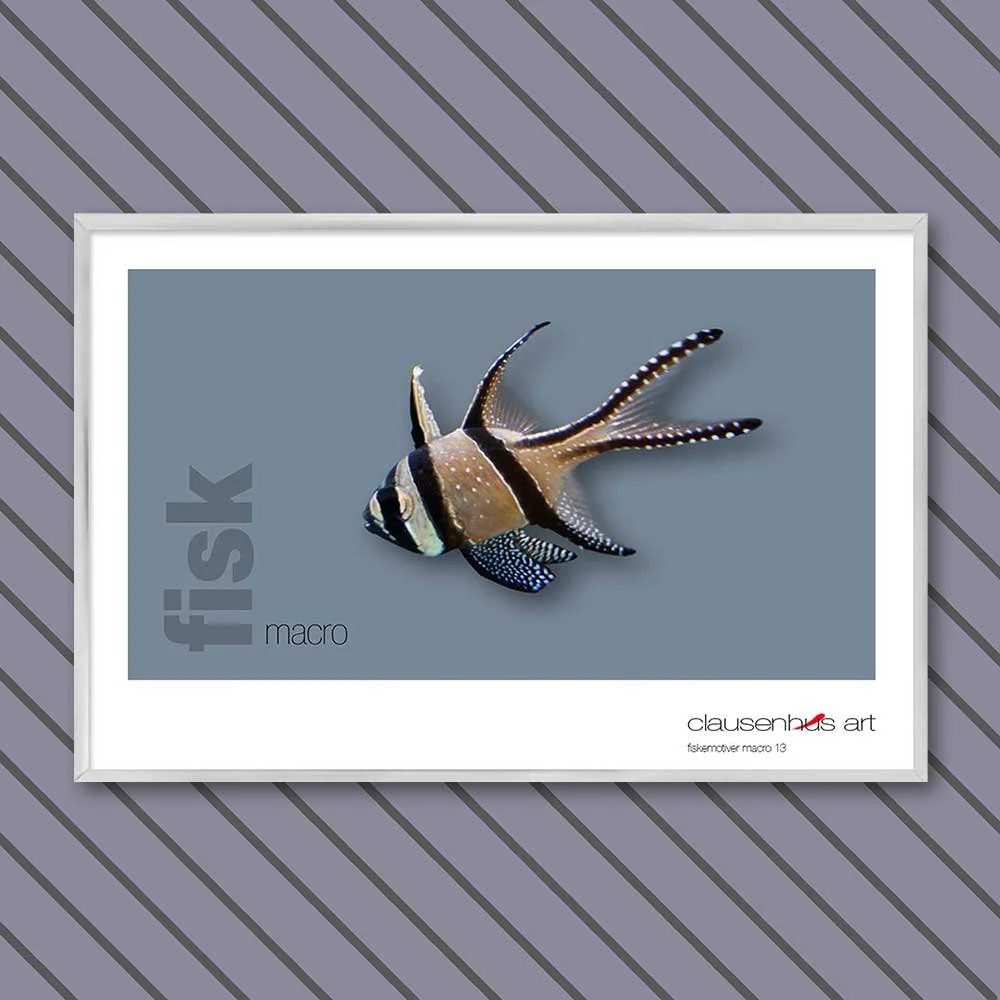 fiskemotiv-13-copy.jpg