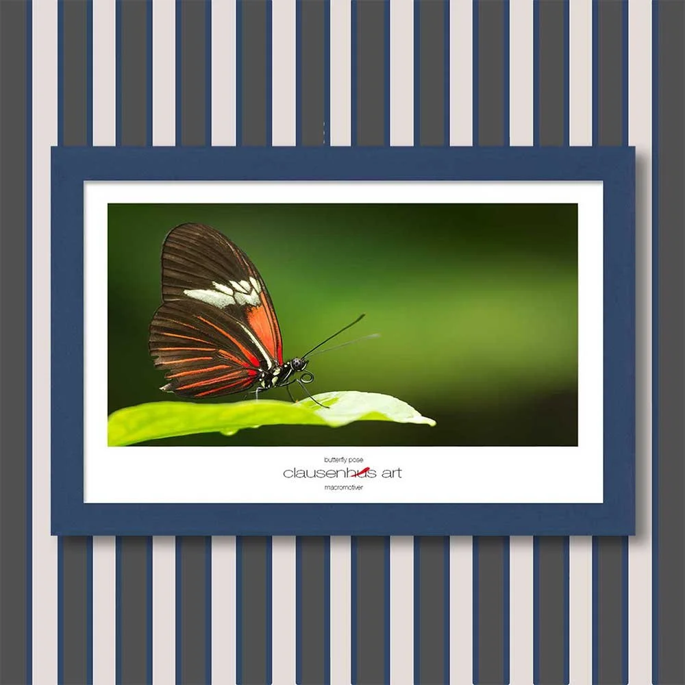 butterfly-pose-copy.jpg