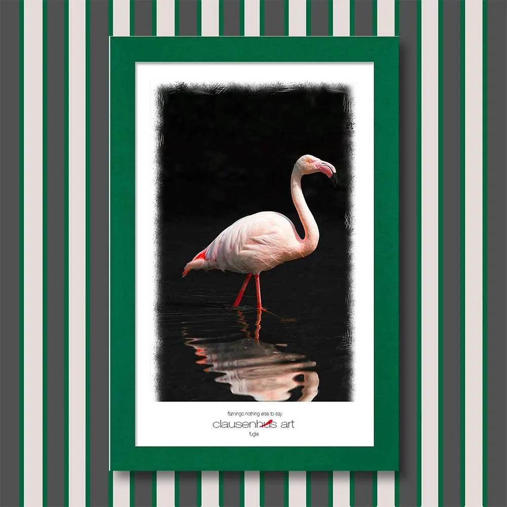 flamingo-nothing-else-to-say.jpg