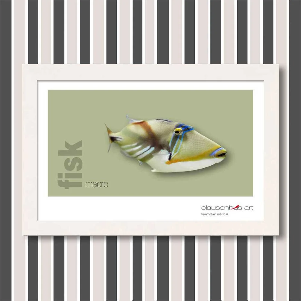 fiskemotiv-9-copy.jpg
