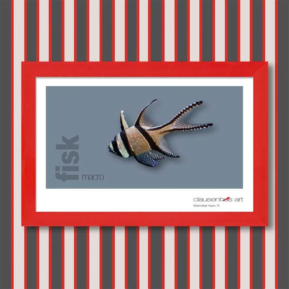 fiskemotiv-13-copy.jpg