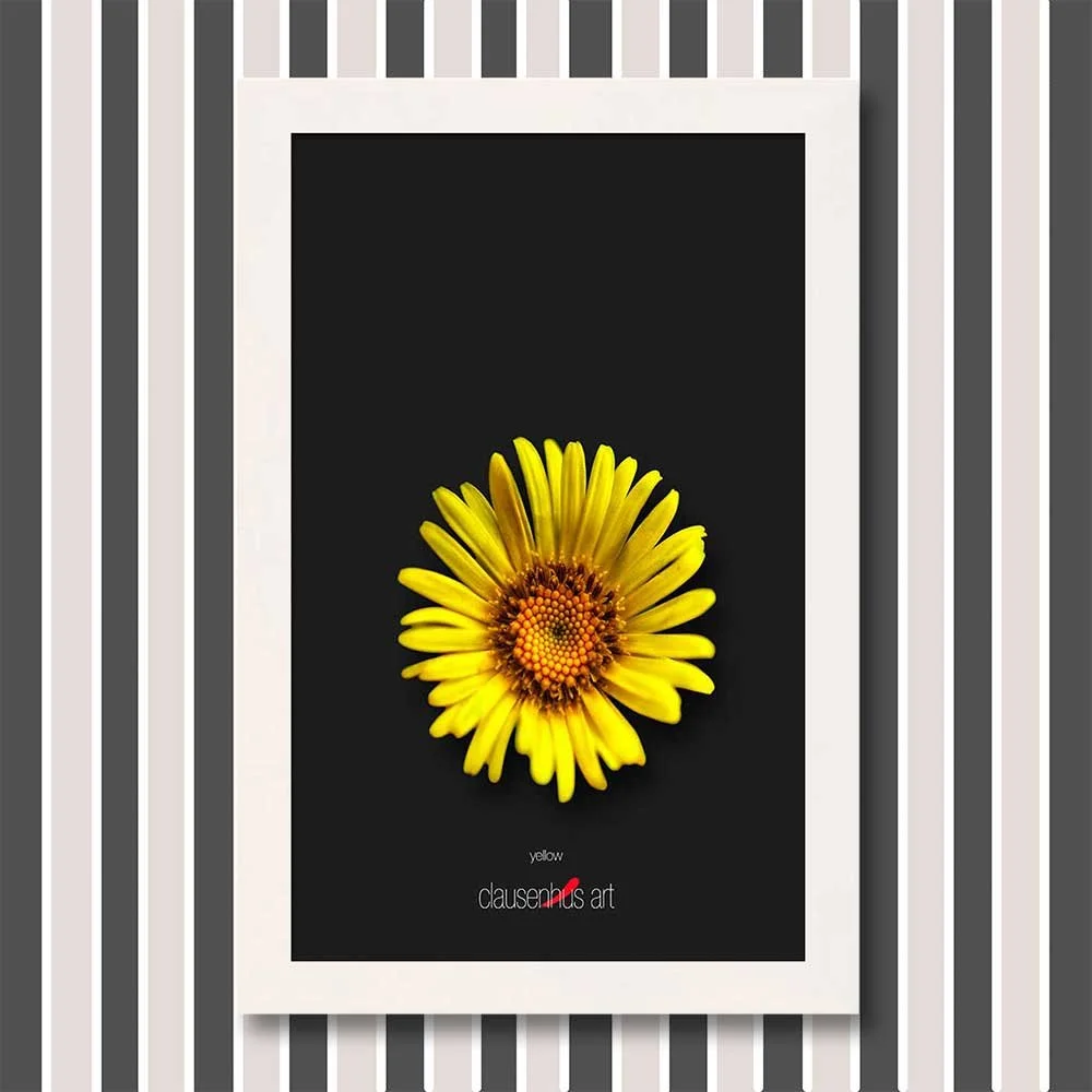 yellow-copy.jpg