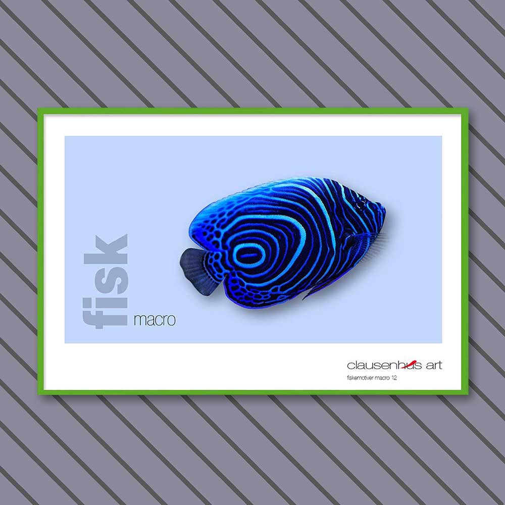 fiskemotiv-12-copy.jpg