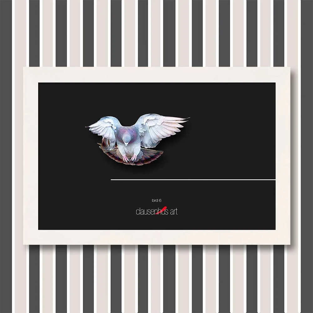 bird-6-copy.jpg